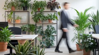 Les plantes d'intérieur idéales pour réduire le stress dans un espace de travail juridique